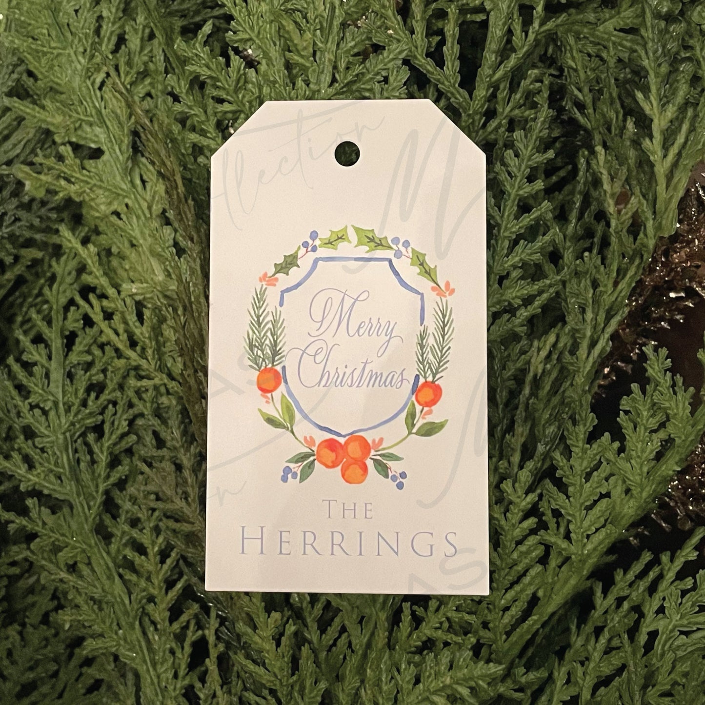 Citrus Christmas Tag